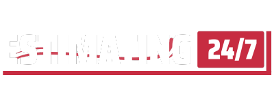 Estimating 247 Logo For Footer